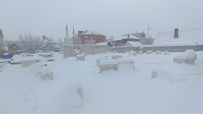 г. Ульяновск, ул Бакинская
