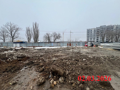 Крылья Качи 