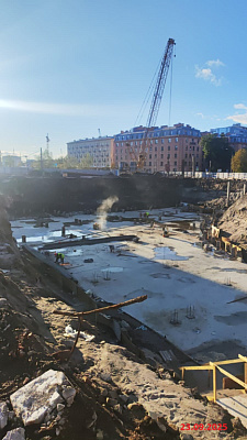 ID Petrogradskaya