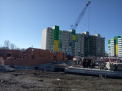 Березовая роща