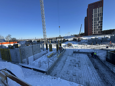 ЖР Изумрудный Бор