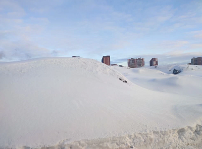 г. Новосибирск