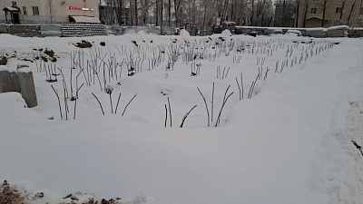 ЖК