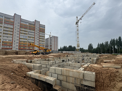 Деревня Новосельцы