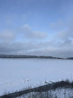 Миниполис Дивное