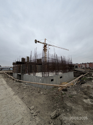 Поселок Новая Адыгея, Улица Бжедугская