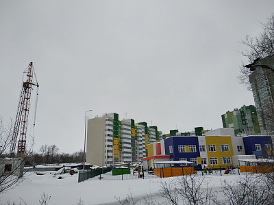 Березовая роща