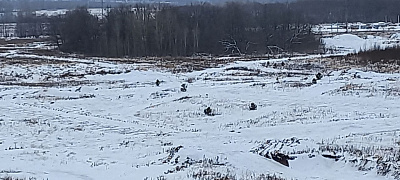 Село Миловка, Улица Жилой дом 8