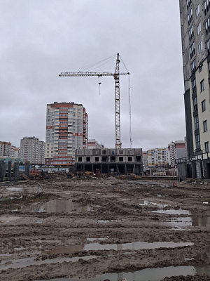 г. Брянск, Улица Улица Романа Брянского