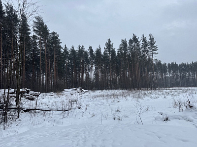 Эко Квартал НЕГА