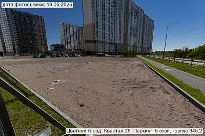 Цветной город