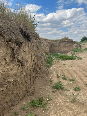 Село Красная Зорька