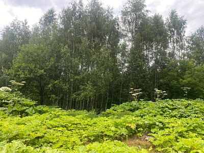 Павлово-3, дом 28 (корп.6)