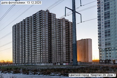 Цветной город