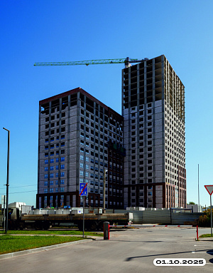 Суворовский