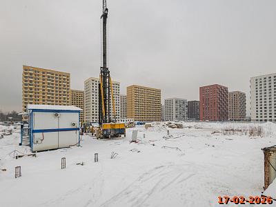Янинский лес
