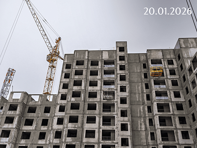 Инстеп.Бабяково