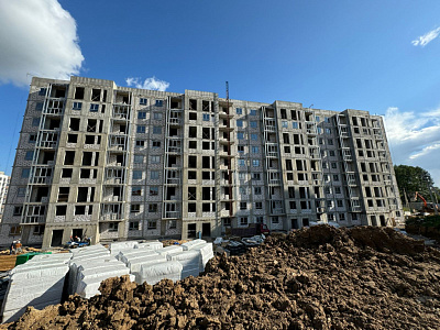 МО, Поселок городского типа Радумля, район ММС-2