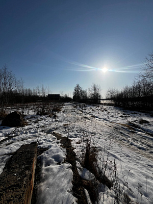 ЛО, г. Кингисепп