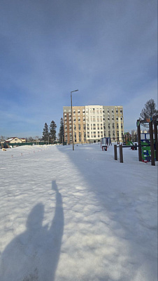 МО, Поселок городского типа Радумля, район ММС-2