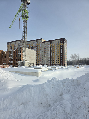 г. Череповец