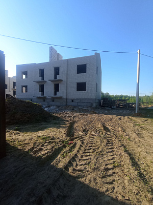 г. Новозыбков, Улица РОС