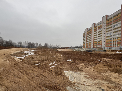 Деревня Новосельцы