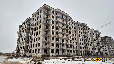 Ясно.Янино, ЛЕС