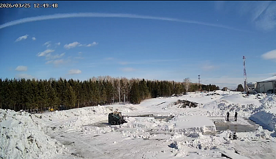 Ёлки город в лесу (Корпус 6)