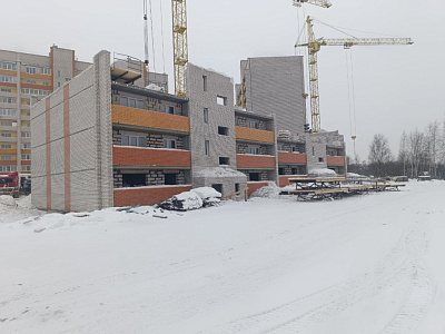 Деревня Новосельцы
