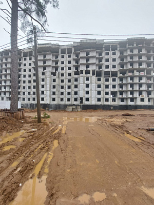 МО, Поселок городского типа Радумля, район ММС-2