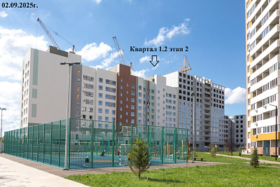 РеФорма Оптимум