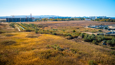 Морелло