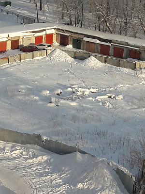 Макаринская роща
