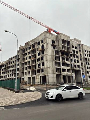 г. Петрозаводск