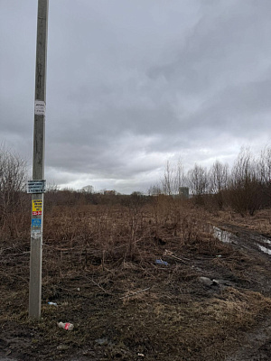 село С Новолуговое