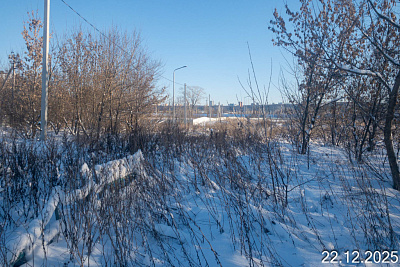 Урбан Яр