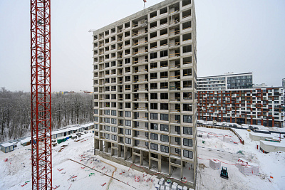 Левел Лесной