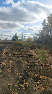 г. Бердск