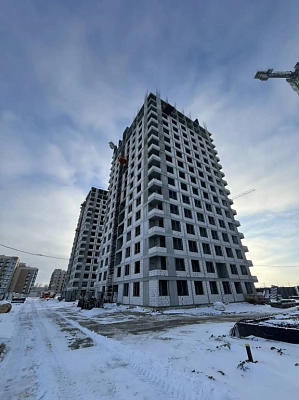 Темп