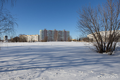Калина