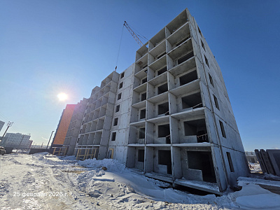 КВАРТАЛ ТИГРЫ