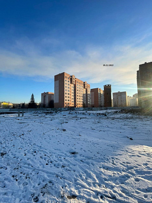 ЖК Родные Пенаты