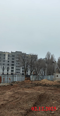 Крылья Качи 
