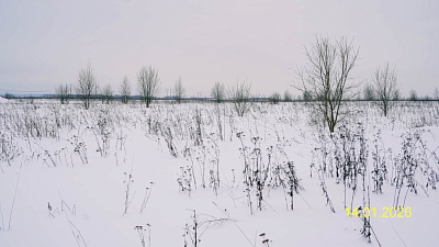 Квартал Лаголово