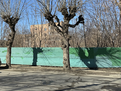 г. Рязань, ул Фрунзе, Введенская, Маяковского, Свободы