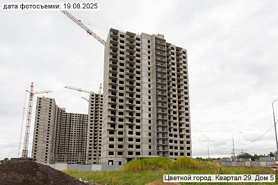 Цветной город