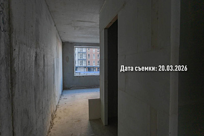 Концепт-проект 