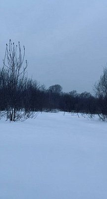 село С Новолуговое