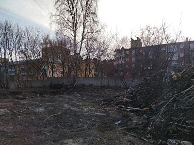 г. Новосибирск